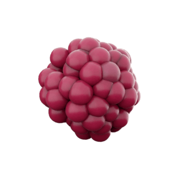 3d interpretazione cartone animato lampone icona. 3d rendere rosso colore fresco bacca icona. cartone animato lampone. png