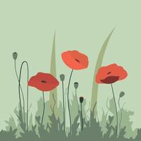 background with red poppy flowers vector