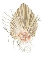 Dried Flowers in Boho style. Hand drawn watercolor illustration on isolated background for greeting cards or wedding invitations. Bohemian creamy bouquet with dry palm leaves in d pale pink orchids vector