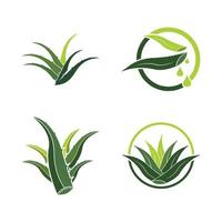 Aloe Vera logo icon design symbol beauty vector