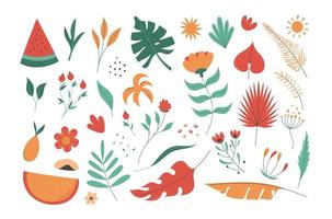 Hand drawn flower collection. sesasonal summer and spring botanical flat vector illustration. leaves and branches flat style element