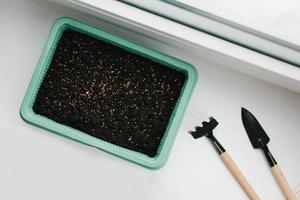 Container with peat and planted seeds with a garden tool at home on the windowsill photo