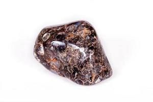 Macro mineral agate fossil fossilized with fossilized turtles on white background photo