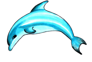 Dolphin aqua color. PNG illustration marine animals.