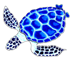 Meer Schildkröte Blau Farbe. png Illustration Marine Tiere.