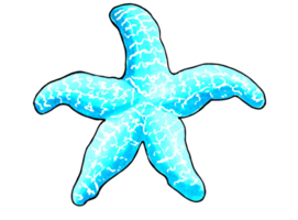 Starfish aqua color.  PNG illustration marine animals.