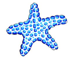 stella marina blu colore. png illustrazione marino vita.