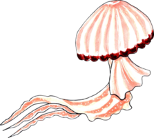 Brown-red jellyfish with wavy tentacles. png