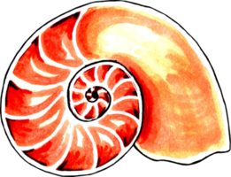 Swirling wavy seashell brown-orange color. png