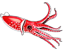 Red squid with white speckles. PNG illustration marine animals.