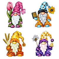 Set of 4 colorful cute gnomes with flowers. png