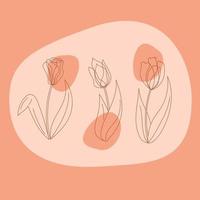 Set of three tulips. Line art vector color illustration.