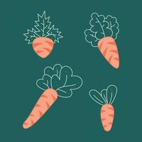 Small set of 4 carrots. Doodle vector color illustration.