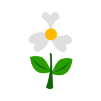 blomma tecknad serie design i vit Färg png