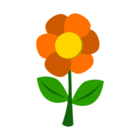 floral illustration design in orange color png