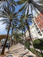 urban landscape with promenade resort in spain Alicante on a sunny day photo