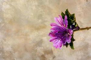 little purple flower close-up original industrial background photo