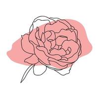 Rose hand drawn illustration in vecor. Sketches, line art. vector