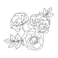 Rose hand drawn illustration in vecor. Sketches, line art. vector