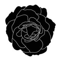 Rose hand drawn illustration in vecor. Sketches, line art. vector