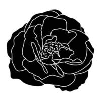 Rose hand drawn illustration in vecor. Sketches, line art. vector