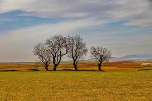 serene minimalist landscape aragon spain in winter day photo