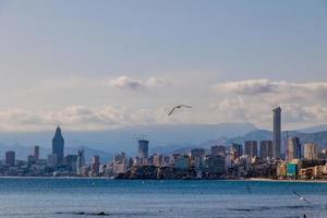 landscape of Benidorm Spain in a sunny day on the seashore with seagulls photo