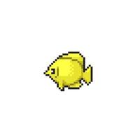 yellow fish in pixel art style vector