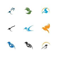 bird logo and symbol vector