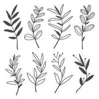 Set of Flower in Doodle Style vector