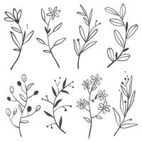 Set of Flower in Doodle Style vector