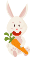 conejito personaje. sentado y riendo divertido, contento Pascua de Resurrección dibujos animados Conejo con zanahoria. png