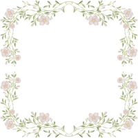 Blume Frames Design png
