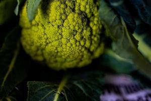 green organic green cauliflower on a kitchen countertop in closeup photo