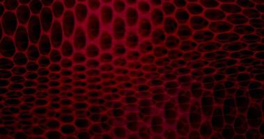 Abstract colorful animation. Multicolor liquid background. Beautiful gradient texture, Moving abstract multicolored background, Abstract geometric background, Colorful gradient background. video