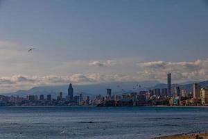 landscape of Benidorm Spain in a sunny day on the seashore with seagulls photo