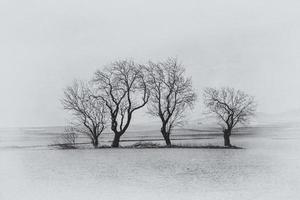 sereno minimalista paisaje Aragón España en invierno día foto