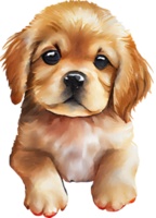 Labrador chiot chien aquarelle png