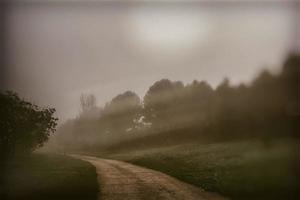 l calm landscape with road in misty gray winters day photo