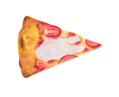 Margherita Pizza fetta. mano disegnato acquerello png