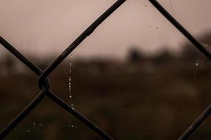 little delicate water drops on a spider web in close-up on a foggy day photo