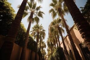 Palm tree silhouettes against sky, bottom view. photo