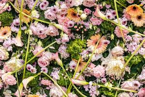 natural rosado antecedentes con flores de cerca foto
