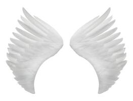 white angel wings isolated on white background. Generative AI. photo
