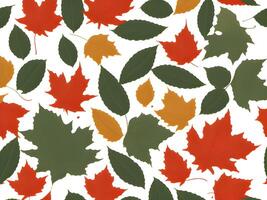 group of different colored leaves. autumn leaves background. leafs falling. pattern design. . photo