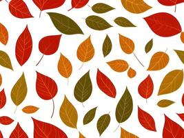 group of different colored leaves. autumn leaves background. leafs falling. pattern design. . photo