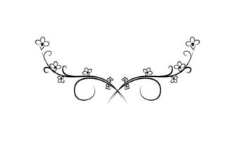 Decorative floral Ornament for text vector icon