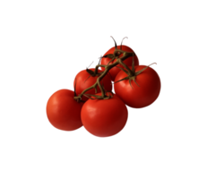 Red ripe tomatoes branch with green stem and leaves, cutout object clipping path, organic vegetable healthy diet concept png
