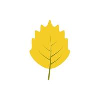 Autumn leave, orange vector icon