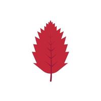 Autumn leave, red vector icon